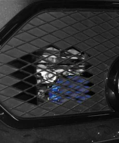 GReddy Civic Type R (FK8) Front Driver Side Mesh